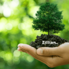 O Impacto dos Seguros na Protecção Ambiental