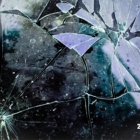 Proteja os Seus Vidros: Seguros para Quebras de Vidros