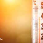 Temperaturas Extremas: O Impacto do Calor na Sua Saúde